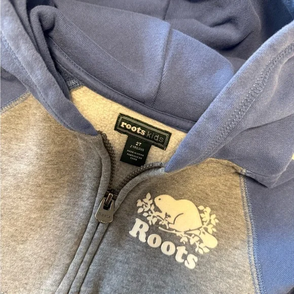 2T Roots Hoodie - Picture 2 of 3